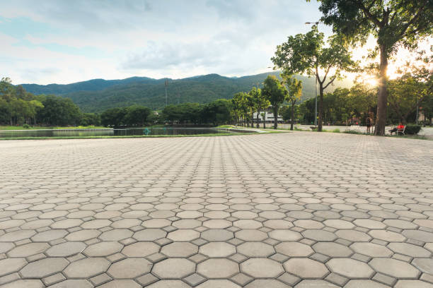 Best Residential Driveway Paver Services  in Wolf Point, MT