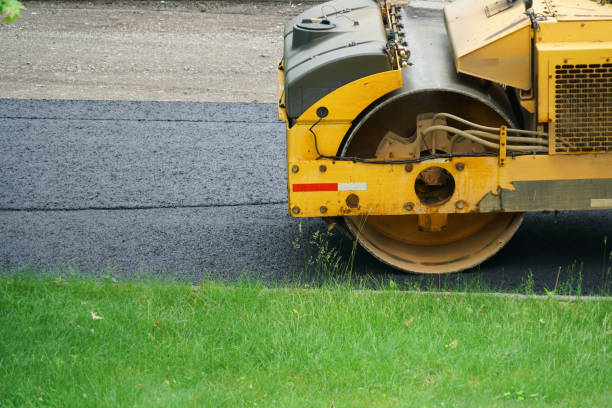 Best Driveway Pavers Near Me  in Wolf Point, MT
