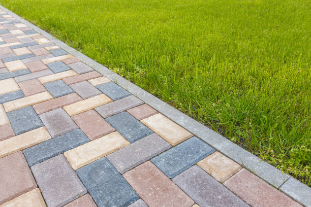 Best Local Driveway Pavers  in Wolf Point, MT